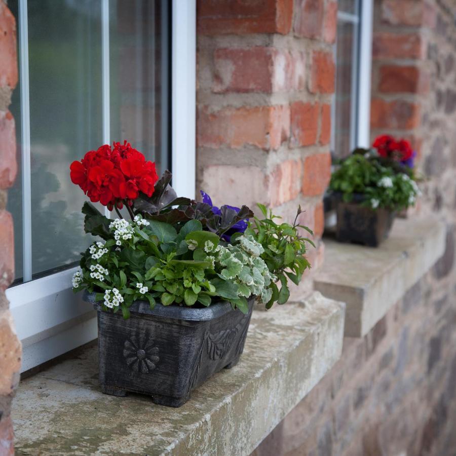 Cash Hill Farm Cottages Ballinamallard Eksteriør billede